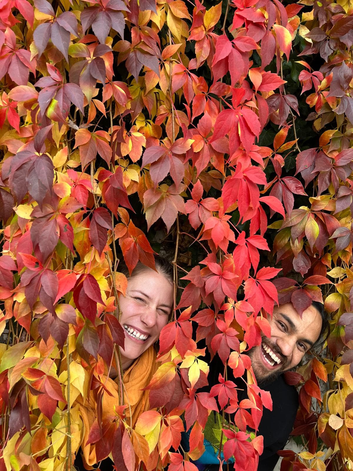 Praha Colorful Leaves Right